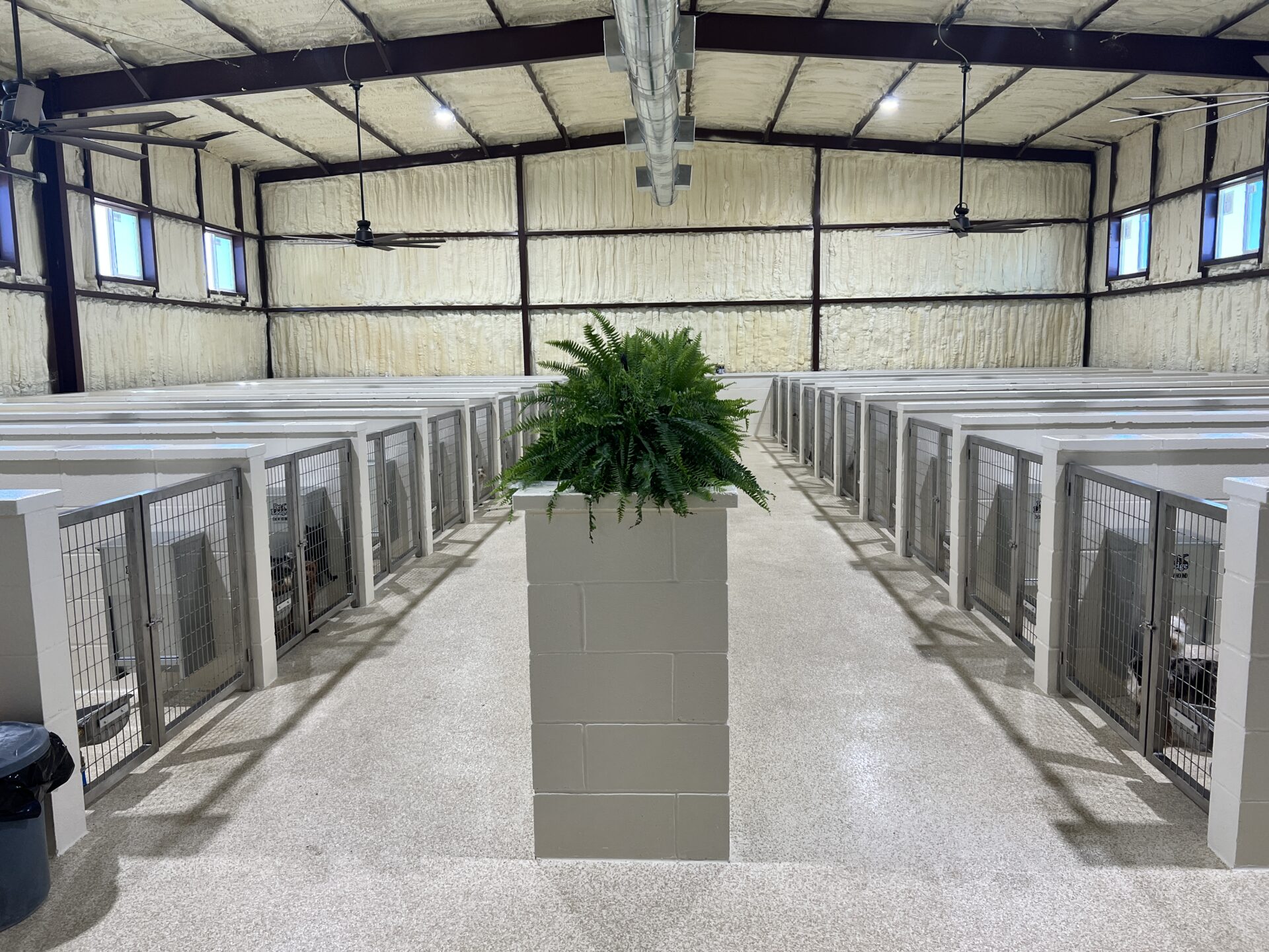 A plant in a large white planter on the floor.