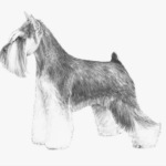 A drawing of a dog standing in the grass.