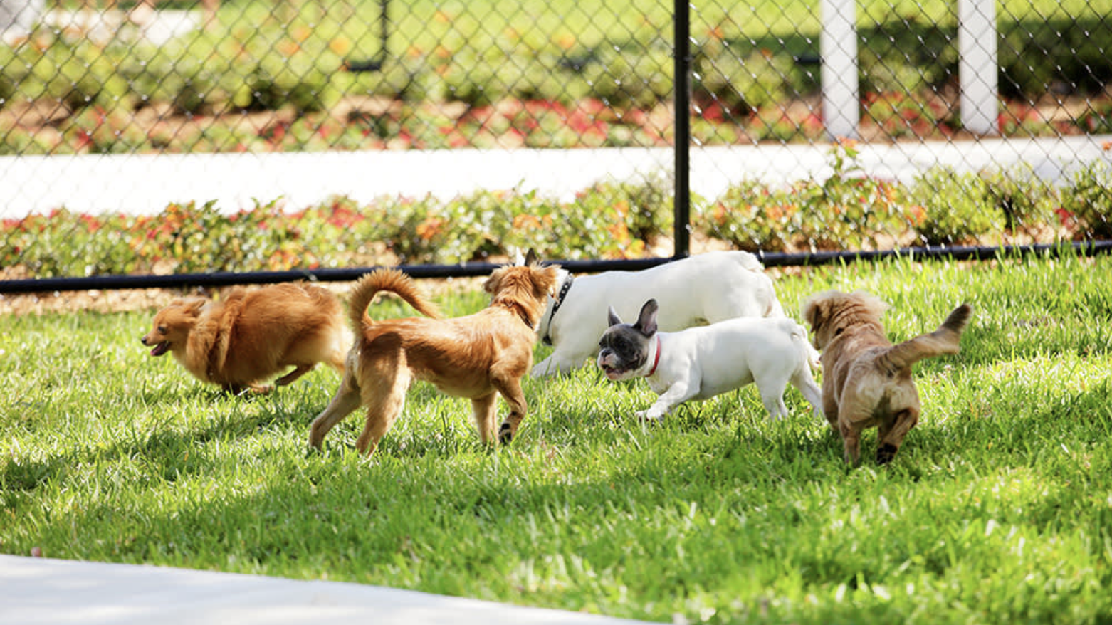 Screenshot 2025-09-22 at 5.27.32 PM